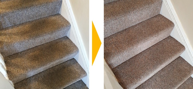 Swansea Carpet Cleaning Services